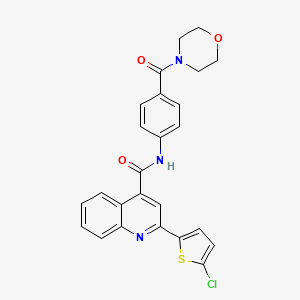 molecular formula C25H20ClN3O3S B6112883 2-(5-chloro-2-thienyl)-N-[4-(4-morpholinylcarbonyl)phenyl]-4-quinolinecarboxamide 