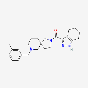 molecular formula C24H32N4O B6114115 7-(3-methylbenzyl)-2-(4,5,6,7-tetrahydro-2H-indazol-3-ylcarbonyl)-2,7-diazaspiro[4.5]decane 