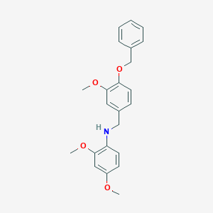 molecular formula C23H25NO4 B6114891 N-[4-(benzyloxy)-3-methoxybenzyl]-2,4-dimethoxyaniline 
