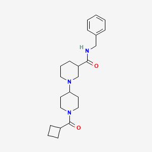 N-benzyl-1'-(cyclobutylcarbonyl)-1,4'-bipiperidine-3-carboxamide