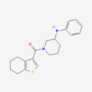 molecular formula C20H24N2OS B6119622 N-phenyl-1-(4,5,6,7-tetrahydro-1-benzothien-3-ylcarbonyl)-3-piperidinamine 