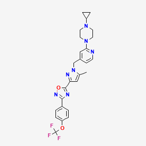 molecular formula C26H26F3N7O2 B612029 1-cyclopropyl-4-[4-[[5-methyl-3-[3-[4-(trifluoromethoxy)phenyl]-1,2,4-oxadiazol-5-yl]-1H-pyrazol-1-yl]methyl]-2-pyridinyl]-piperazine CAS No. 1227158-85-1