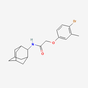 molecular formula C19H24BrNO2 B6120587 N-2-adamantyl-2-(4-bromo-3-methylphenoxy)acetamide 
