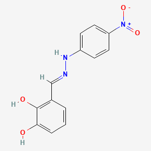 molecular formula C13H11N3O4 B6121105 2,3-dihydroxybenzaldehyde (4-nitrophenyl)hydrazone 
