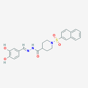 molecular formula C23H23N3O5S B6121799 N'-(3,4-dihydroxybenzylidene)-1-(2-naphthylsulfonyl)-4-piperidinecarbohydrazide 