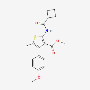 molecular formula C19H21NO4S B6121897 methyl 2-[(cyclobutylcarbonyl)amino]-4-(4-methoxyphenyl)-5-methyl-3-thiophenecarboxylate 