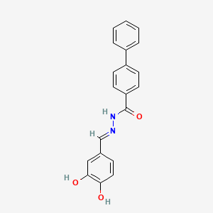 molecular formula C20H16N2O3 B6122295 N'-(3,4-dihydroxybenzylidene)-4-biphenylcarbohydrazide 