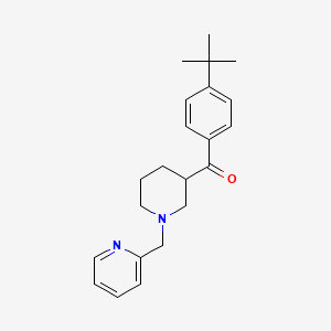molecular formula C22H28N2O B6122404 (4-tert-butylphenyl)[1-(2-pyridinylmethyl)-3-piperidinyl]methanone 