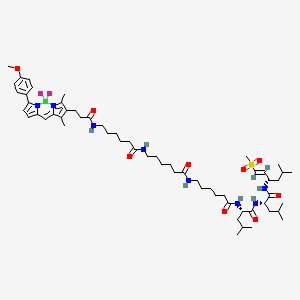 molecular formula C59H91BF2N8O9S B612273 6-(3-(5,5-二氟-7-(4-甲氧基苯基)-1,3-二甲基-5H-4l4,5l4-二吡咯并[1,2-c:2',1'-f][1,3,2]二氮硼环-2-基)丙酰胺)-N-((4S,7S,10S)-7,10-二异丁基-2-甲基-4-((E)-2-(甲磺酰基)乙烯基)-6,9,12,19-四氧代-5,8,11,18-四氮四二十烷-24-基)己酰胺 CAS No. 945611-88-1
