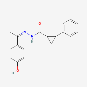 molecular formula C19H20N2O2 B6123662 N'-[1-(4-hydroxyphenyl)propylidene]-2-phenylcyclopropanecarbohydrazide 