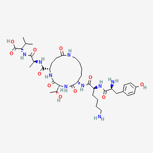 molecular formula C38H61N9O11 B612458 PDZ1 Domain inhibitor peptide 