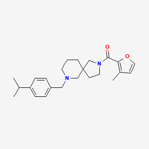 molecular formula C24H32N2O2 B6124606 7-(4-isopropylbenzyl)-2-(3-methyl-2-furoyl)-2,7-diazaspiro[4.5]decane 