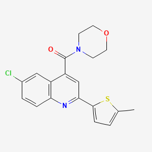 molecular formula C19H17ClN2O2S B6126816 6-chloro-2-(5-methyl-2-thienyl)-4-(4-morpholinylcarbonyl)quinoline 