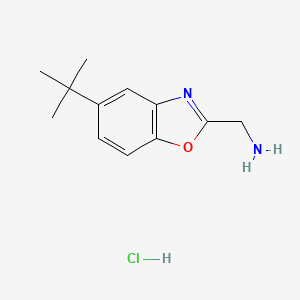 [(5-tert-butyl-1,3-benzoxazol-2-yl)methyl]amine hydrochloride