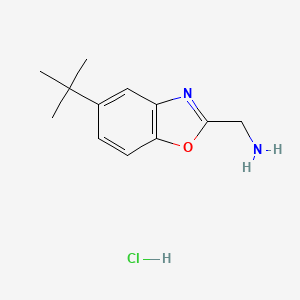 molecular formula C12H17ClN2O B6127290 [(5-tert-butyl-1,3-benzoxazol-2-yl)methyl]amine hydrochloride 