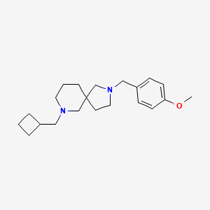 molecular formula C21H32N2O B6130423 7-(cyclobutylmethyl)-2-(4-methoxybenzyl)-2,7-diazaspiro[4.5]decane 