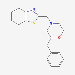 molecular formula C19H24N2OS B6133153 2-[(2-benzyl-4-morpholinyl)methyl]-4,5,6,7-tetrahydro-1,3-benzothiazole 