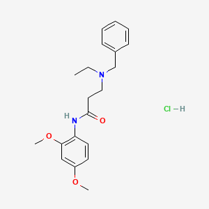 molecular formula C20H27ClN2O3 B6134132 N~3~-benzyl-N~1~-(2,4-dimethoxyphenyl)-N~3~-ethyl-beta-alaninamide hydrochloride 