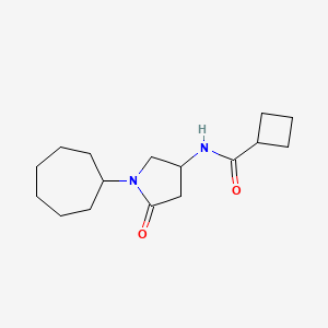molecular formula C16H26N2O2 B6134173 N-(1-cycloheptyl-5-oxo-3-pyrrolidinyl)cyclobutanecarboxamide 