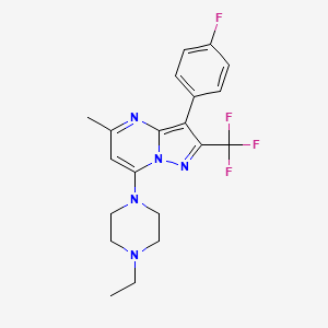 molecular formula C20H21F4N5 B6134597 7-(4-ethyl-1-piperazinyl)-3-(4-fluorophenyl)-5-methyl-2-(trifluoromethyl)pyrazolo[1,5-a]pyrimidine 