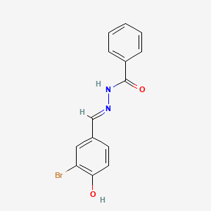 molecular formula C14H11BrN2O2 B6135064 N'-(3-bromo-4-hydroxybenzylidene)benzohydrazide 