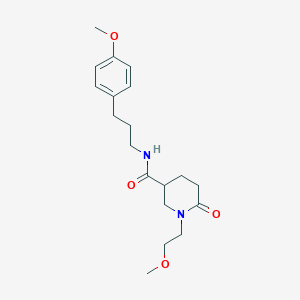 molecular formula C19H28N2O4 B6137671 1-(2-methoxyethyl)-N-[3-(4-methoxyphenyl)propyl]-6-oxo-3-piperidinecarboxamide 