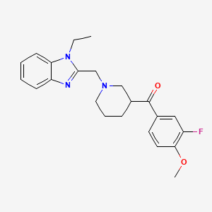 molecular formula C23H26FN3O2 B6139097 {1-[(1-ethyl-1H-benzimidazol-2-yl)methyl]-3-piperidinyl}(3-fluoro-4-methoxyphenyl)methanone 