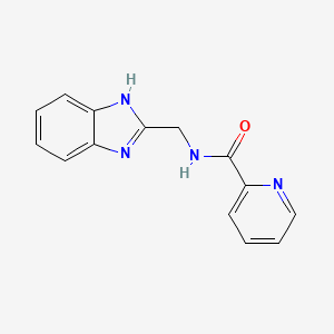 molecular formula C14H12N4O B6139295 N-(1H-benzimidazol-2-ylmethyl)pyridine-2-carboxamide 