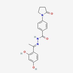 molecular formula C19H19N3O4 B6140404 N'-[1-(2,4-dihydroxyphenyl)ethylidene]-4-(2-oxo-1-pyrrolidinyl)benzohydrazide 