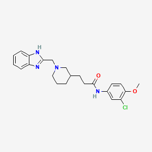 molecular formula C23H27ClN4O2 B6140807 3-[1-(1H-benzimidazol-2-ylmethyl)-3-piperidinyl]-N-(3-chloro-4-methoxyphenyl)propanamide 