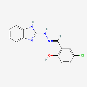 molecular formula C14H11ClN4O B6140967 5-chloro-2-hydroxybenzaldehyde 1H-benzimidazol-2-ylhydrazone 