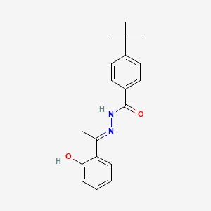 molecular formula C19H22N2O2 B6141175 4-tert-butyl-N'-[1-(2-hydroxyphenyl)ethylidene]benzohydrazide 