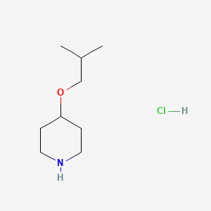 molecular formula C9H20ClNO B6141723 4-(2-methylpropoxy)piperidine hydrochloride CAS No. 903891-79-2