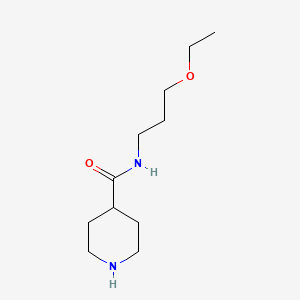 molecular formula C11H22N2O2 B6142617 N-(3-ethoxypropyl)piperidine-4-carboxamide CAS No. 926270-52-2