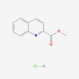 molecular formula C11H10ClNO2 B6143574 methyl quinoline-2-carboxylate hydrochloride CAS No. 135709-62-5