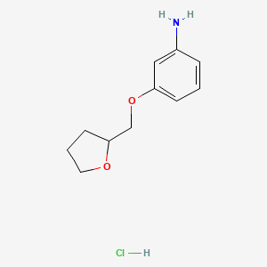 molecular formula C11H16ClNO2 B6143747 3-(oxolan-2-ylmethoxy)aniline hydrochloride CAS No. 1093866-53-5