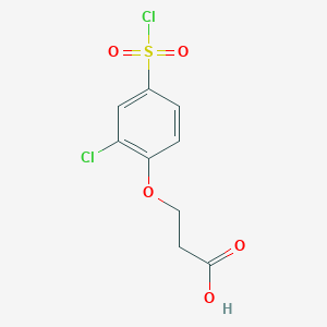 molecular formula C9H8Cl2O5S B6143831 3-[2-chloro-4-(chlorosulfonyl)phenoxy]propanoic acid CAS No. 1016880-01-5
