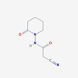 molecular formula C8H11N3O2 B6144264 2-cyano-N-(2-oxopiperidin-1-yl)acetamide CAS No. 1240528-88-4