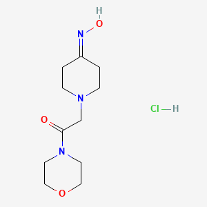 2-[4-(hydroxyimino)piperidin-1-yl]-1-(morpholin-4-yl)ethan-1-one hydrochloride