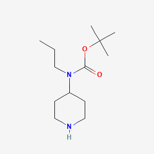 molecular formula C13H26N2O2 B6144661 tert-butyl N-(piperidin-4-yl)-N-propylcarbamate CAS No. 874842-26-9