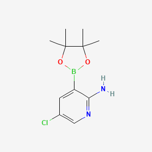 molecular formula C11H16BClN2O2 B6148590 5-chloro-3-(4,4,5,5-tetramethyl-1,3,2-dioxaborolan-2-yl)pyridin-2-amine CAS No. 2096339-55-6