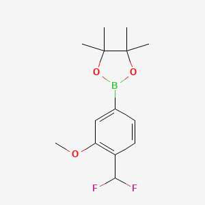 2-[4-(difluoromethyl)-3-methoxyphenyl]-4,4,5,5-tetramethyl-1,3,2-dioxaborolane
