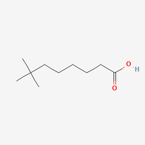 molecular formula C10H20O2 B6159452 7,7-二甲基辛酸 CAS No. 130776-67-9