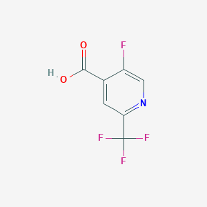 molecular formula C7H3F4NO2 B6229025 5-fluoro-2-(trifluoromethyl)pyridine-4-carboxylic acid CAS No. 1256806-61-7
