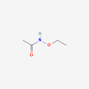 molecular formula C4H9NO2 B6235721 N-ethoxyacetamide CAS No. 52914-24-6