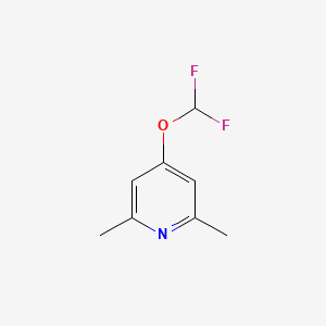 molecular formula C8H9F2NO B6252561 4-(difluoromethoxy)-2,6-dimethylpyridine CAS No. 1214338-02-9