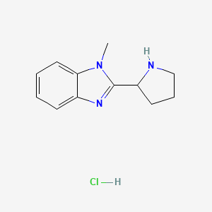 molecular formula C12H16ClN3 B6285994 1-Methyl-2-(2-pyrrolidinyl)-1H-benzimidazole hydrochloride CAS No. 1185293-95-1