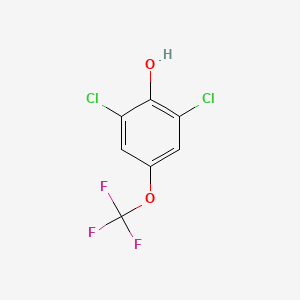 molecular formula C7H3Cl2F3O2 B6289750 2,6-Dichloro-4-(trifluoromethoxy)phenol CAS No. 102794-02-5