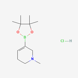 molecular formula C12H23BClNO2 B6289766 (1-Methyl-1,2,5,6-tetrahydropyridin-3-yl)boronic acid pinacol ester hydrochloride, 95% CAS No. 2716849-16-8