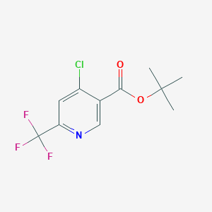 molecular formula C11H11ClF3NO2 B6289916 tert-Butyl 4-chloro-6-(trifluoromethyl)pyridine-3-carboxylate CAS No. 2206752-25-0